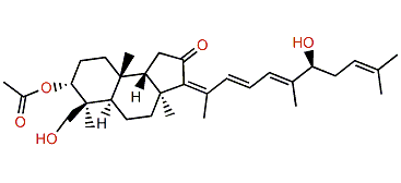 3-epi-29-Hydroxystelliferin A